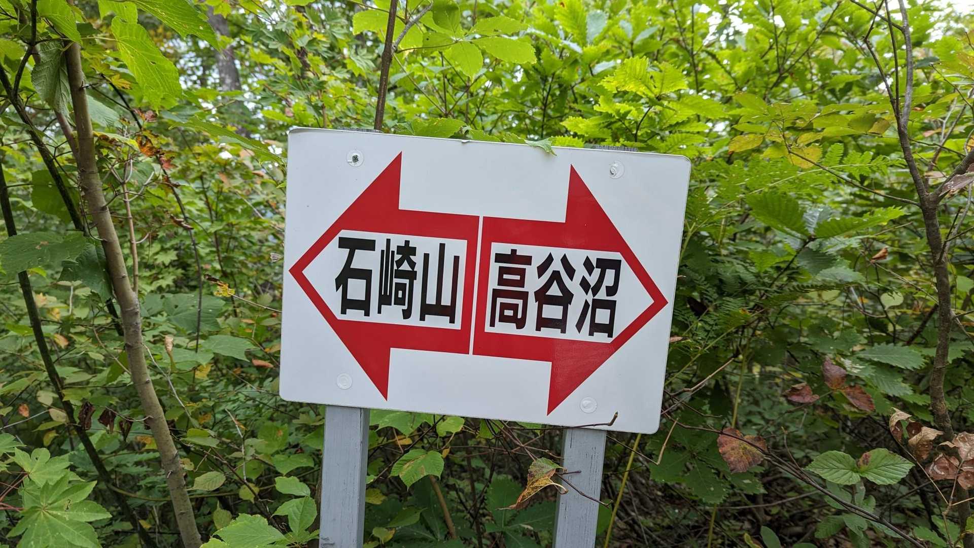 高谷沼まで周回で下山！
