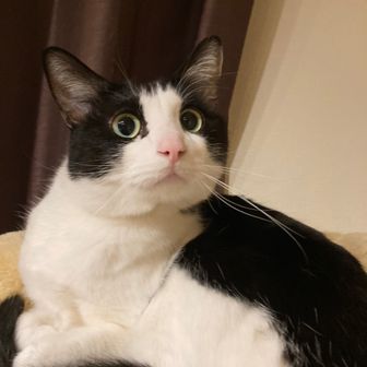 制覇東北百名山