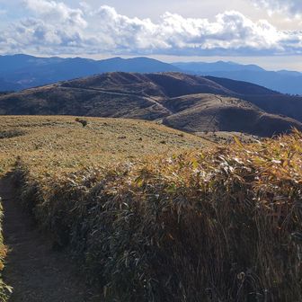 西伊豆スカイラインは景色が素晴らしいね😊