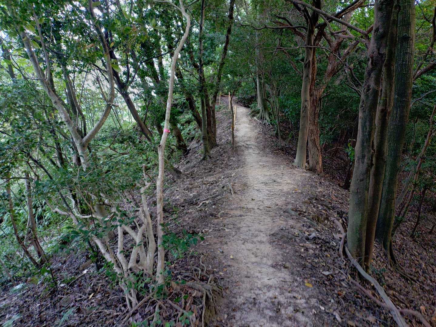 最高です🙌