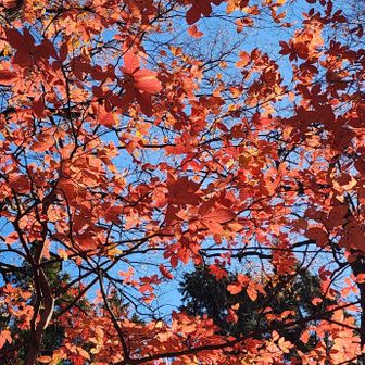 おっ、またメグちゃんだ。(^O^)／