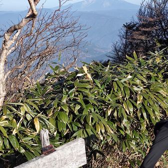 大判山到着
御嶽山が見えてる