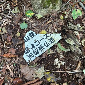 クルソンってこんな漢字だったのか！