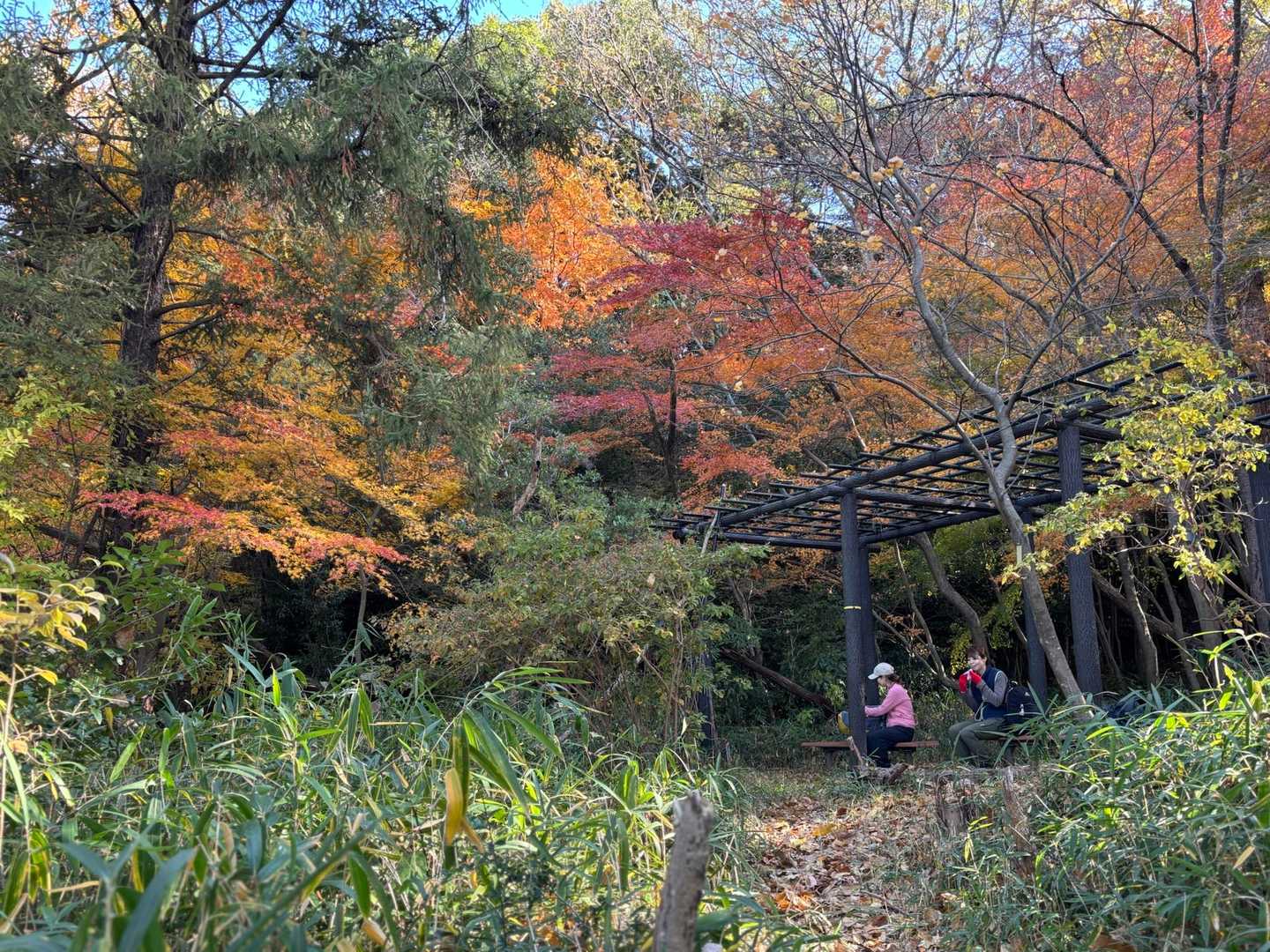 信貴山口駅-朝護孫子寺-信貴山 成福院-信貴山門　バス停 縦走コースの写真