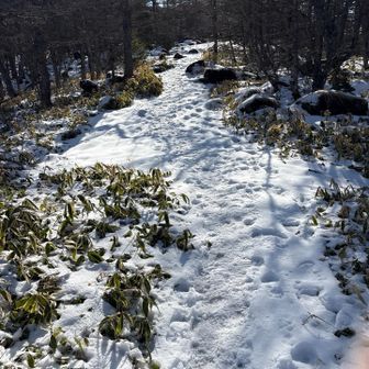 人少なめでした