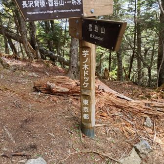 芋ノ木ドッケにも登頂