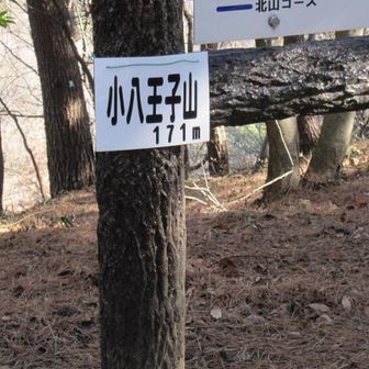 6座目　小八王子山
