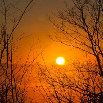 信じられないくらいまばゆい
涙が出そうになるが堪える