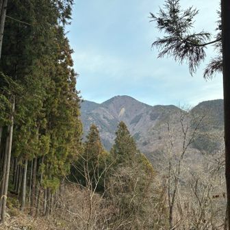 エビ小屋山？