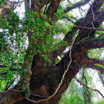 何枚も撮っちゃうよ