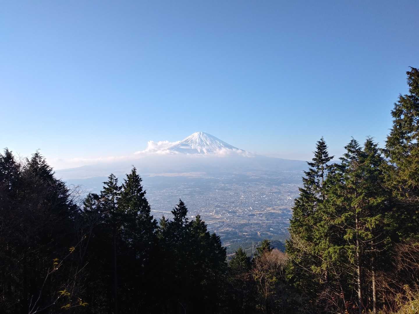 公時神社登山口-金時山-長尾山-乙女峠-姥ヶ茶屋 縦走コースの写真