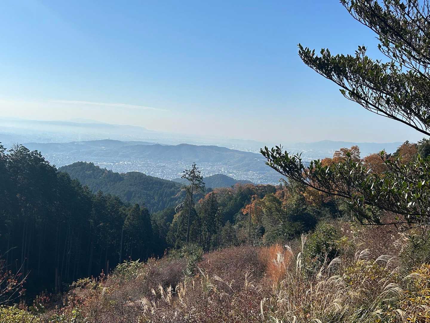 すすきと東山の美しさ。