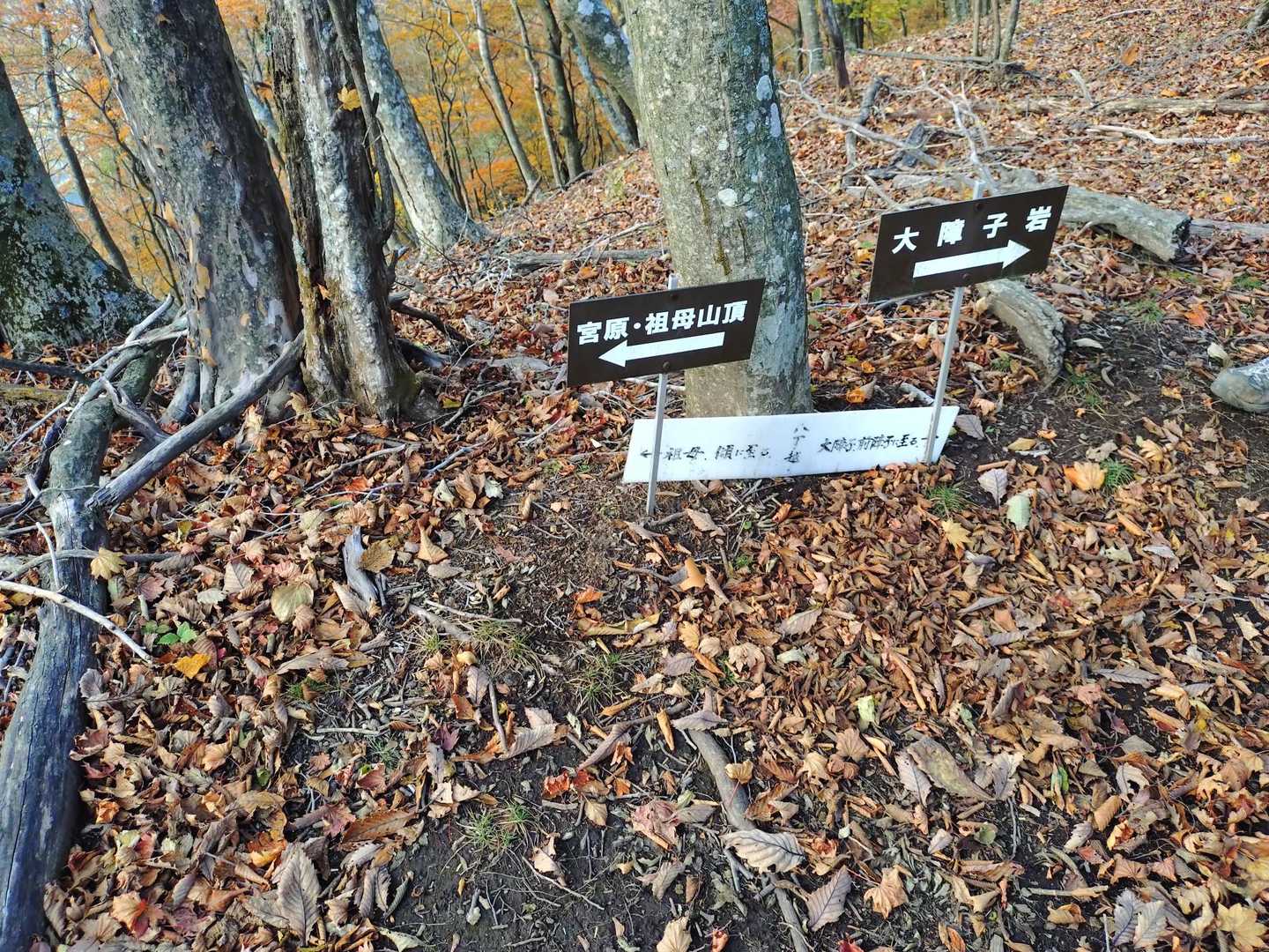 八丁越
名残惜しいですが下山します