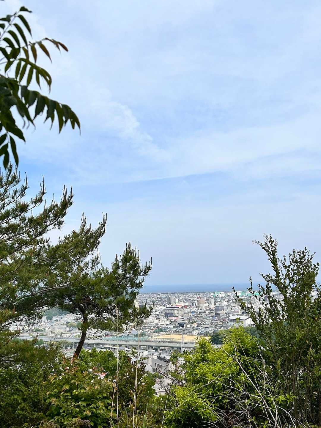 新四国八十八ケ所参道ハイキングコース入口-金光山-宇佐八幡 往復コースの写真