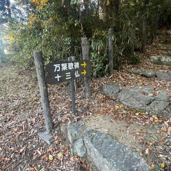 神社の中から登山開始です