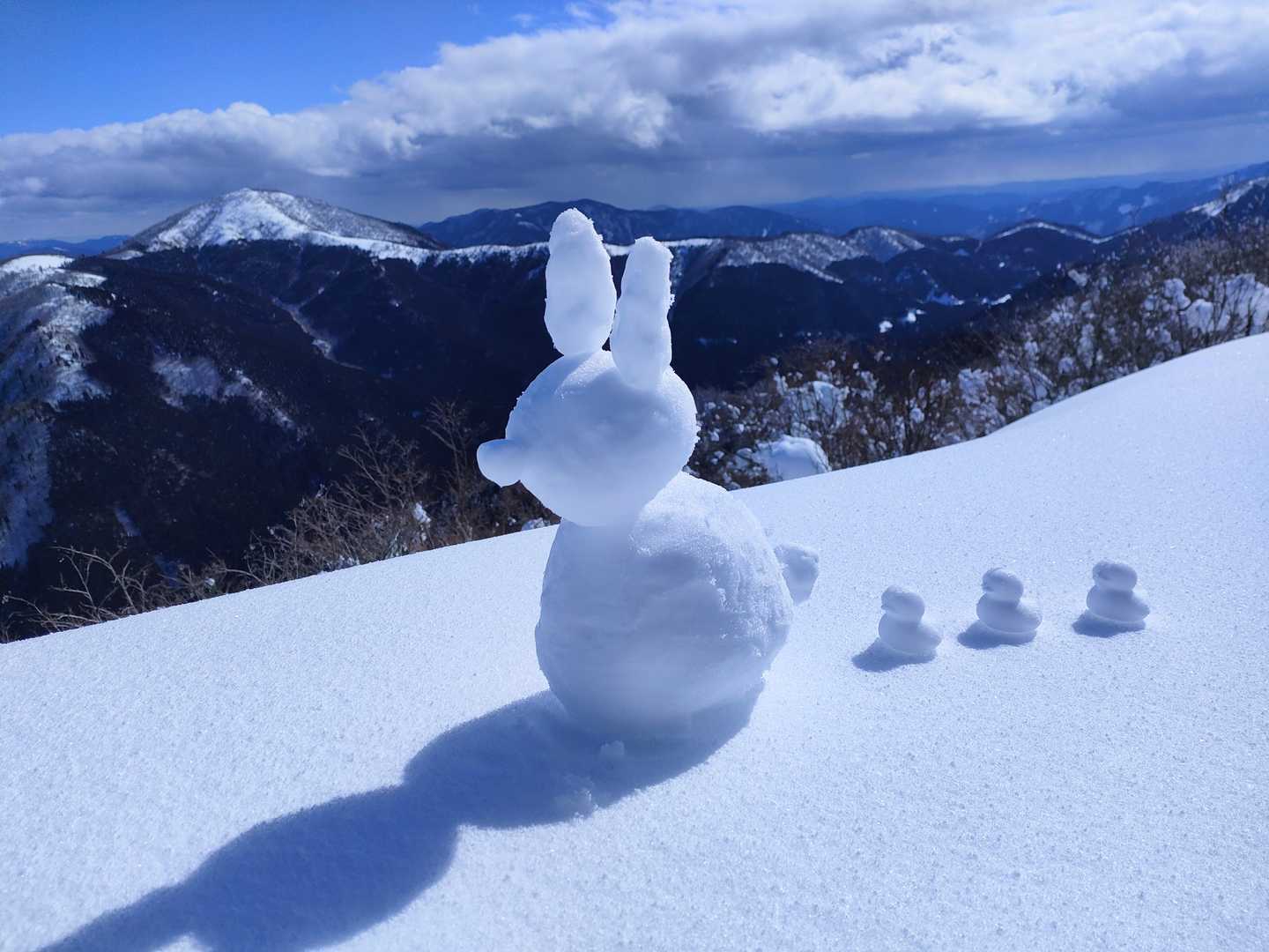ウサギ🐰と戯れたり…