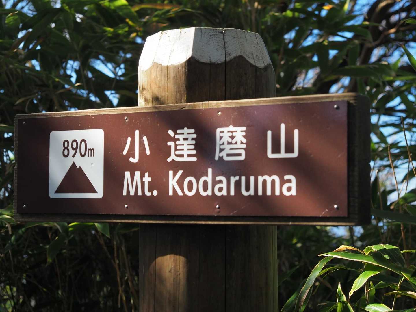 だるま山高原-金冠山-達磨山 往復コースの写真