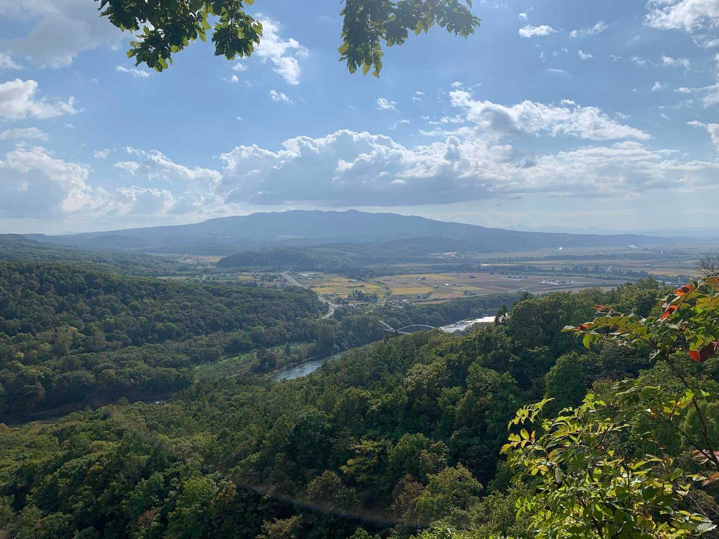 向こうの山は深川の沖里河山

トトロ峠も見たかったけどまた今度