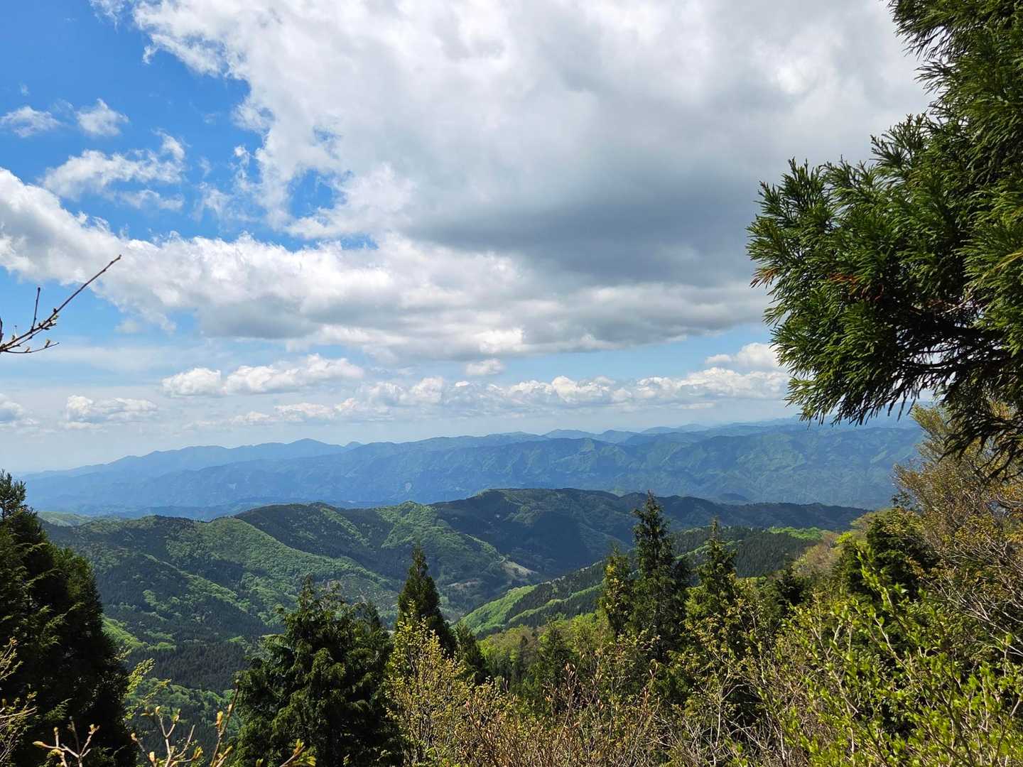白尾山登山口-白尾山 往復コースの写真