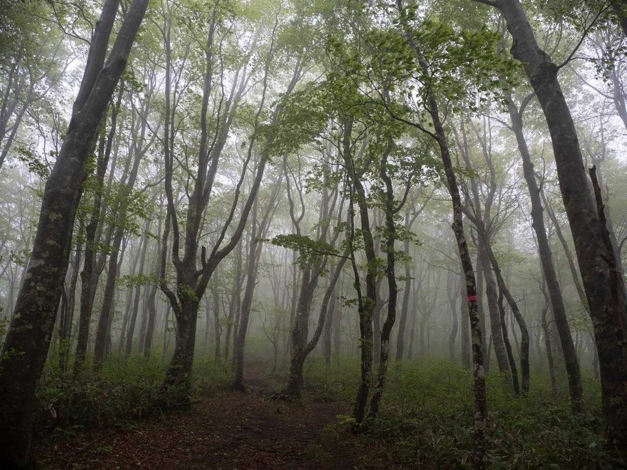いつの季節も素晴らしい。