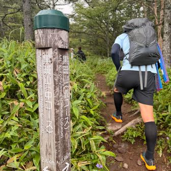 表コースが好き
下山でも表コース