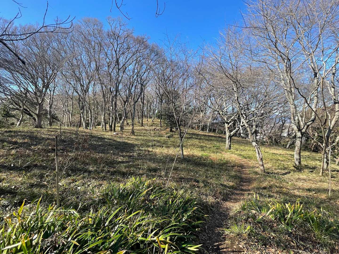 山頂は走りやすいし、風の影響あまり無いです。