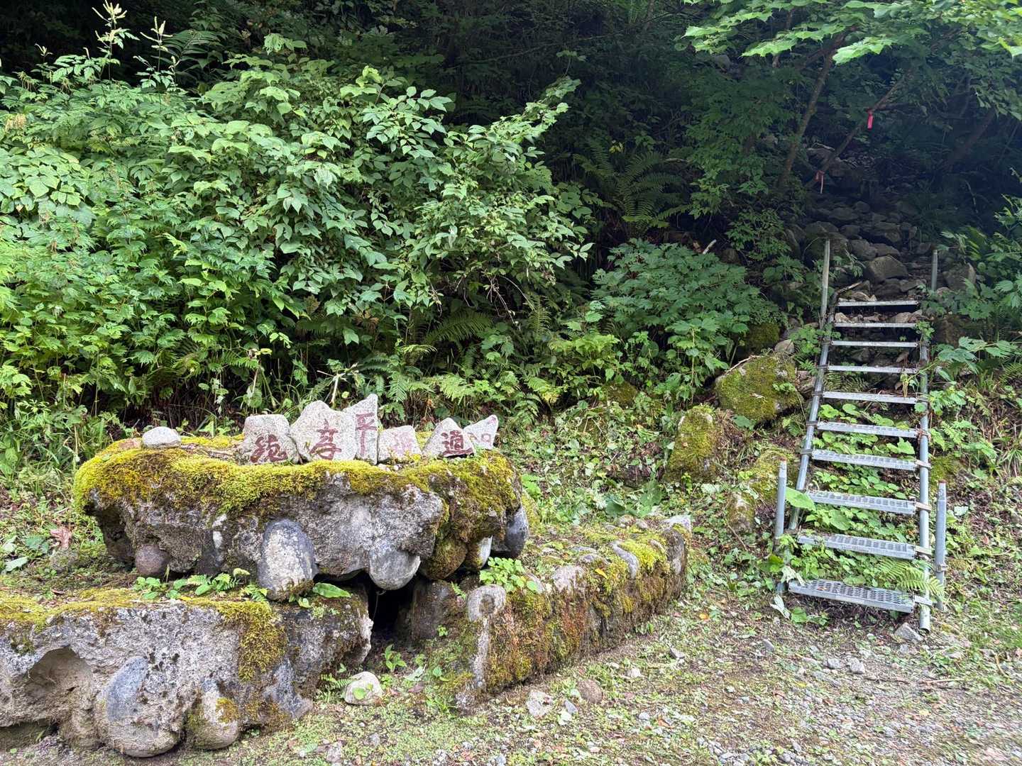 林道をぐるっと歩いてきたけどここに穂高平小屋への近道ってあるけど、行きたくない感じ笑