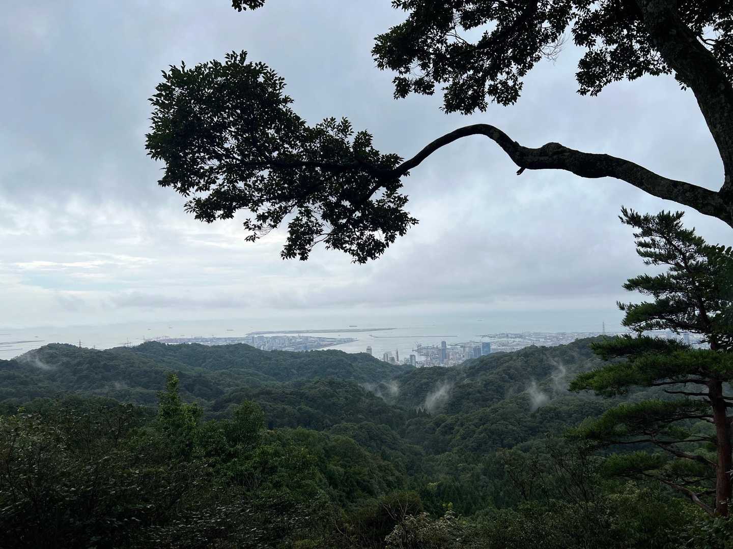 六甲全山縦走路（前半）須磨浦公園駅-新神戸駅の写真