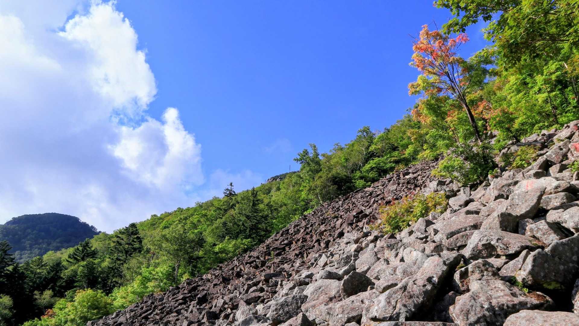ロックガーデン🌳
青空ありがとう😎