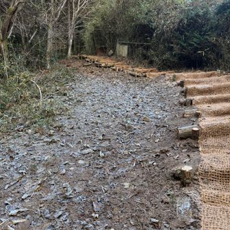 霜がはってる。そりゃ寒いわけだ。