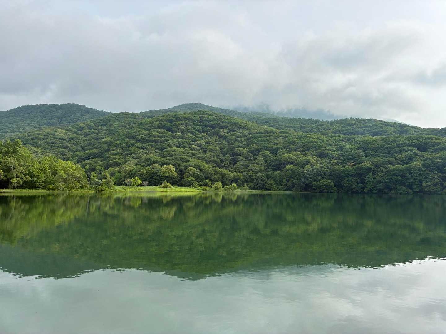 古池から黒姫山のリフレクションを期待したが・・・