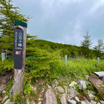 まずはこちら。
青空が瞬く間に消え失せこのあたりから小雨☂️
瞬時にガスり始めた