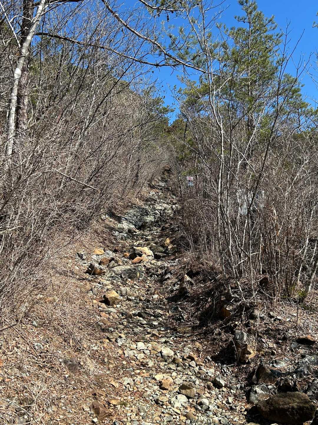 観音山 往復コースの写真