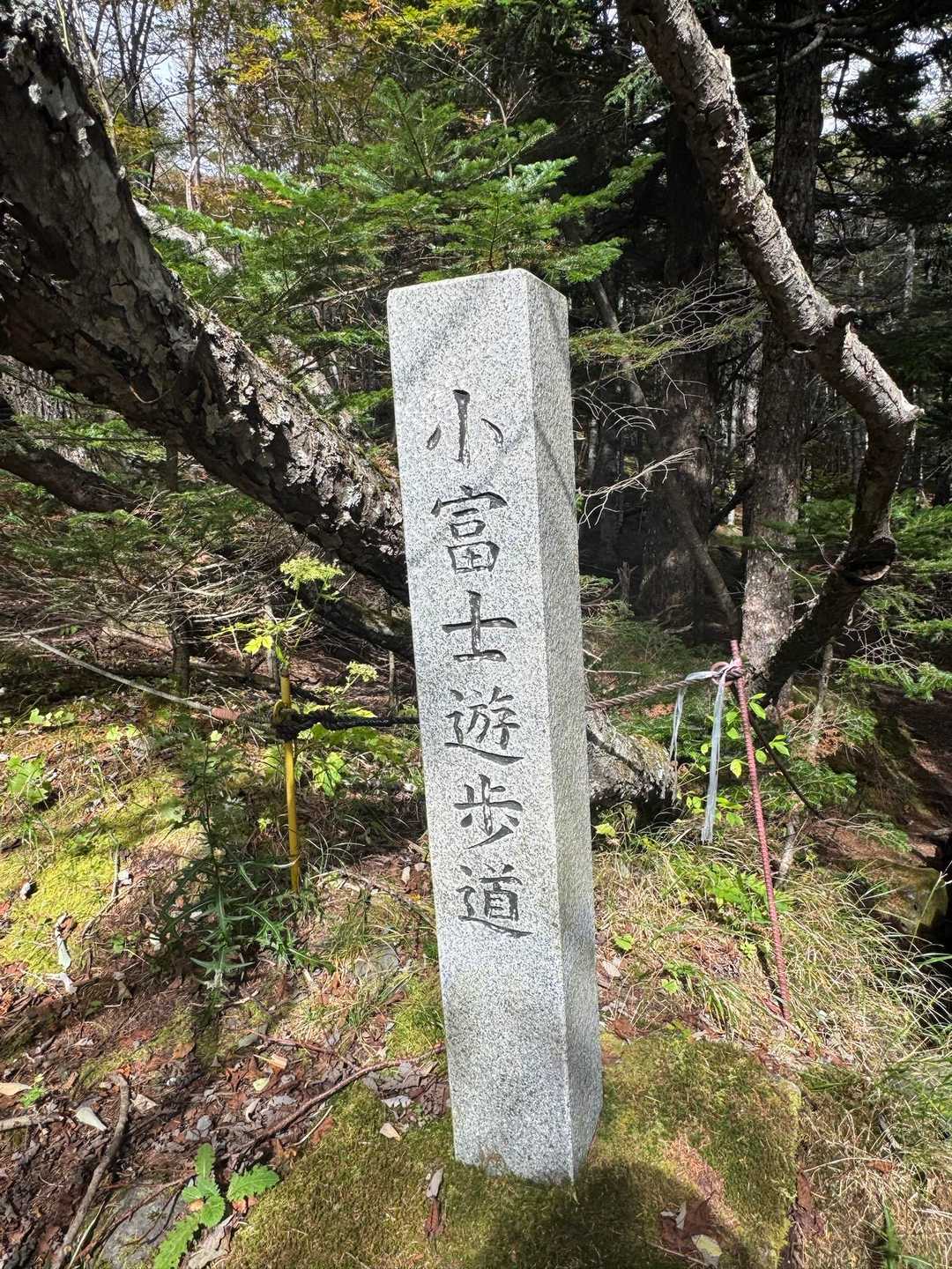 ここから入ります