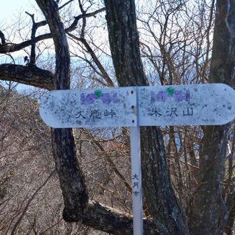 大月市の山でした