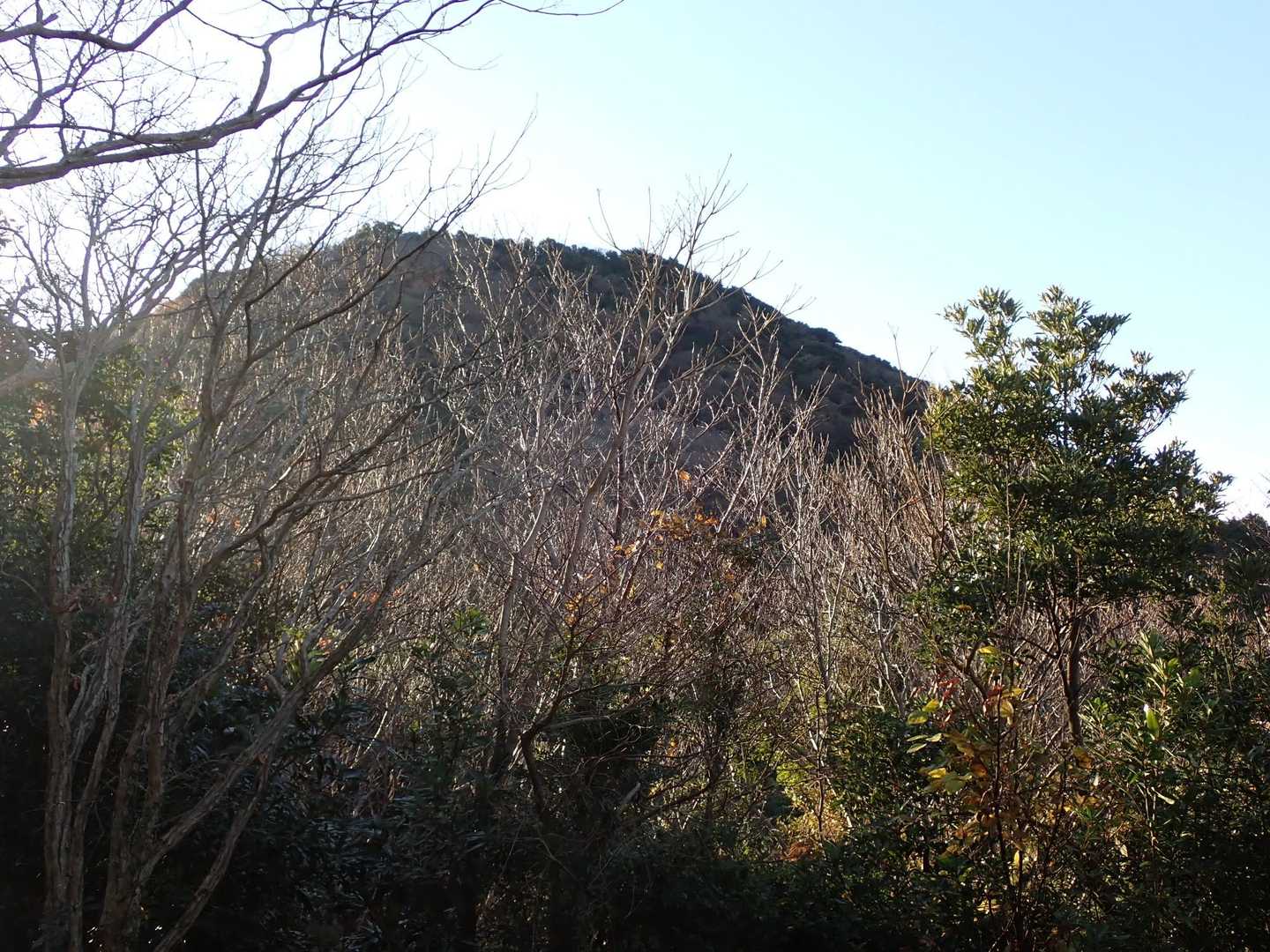 これから行くお山