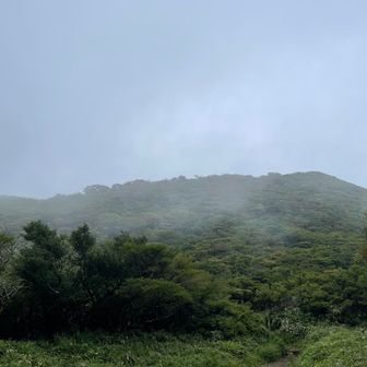 しかし山頂目前、いきなり霧が……