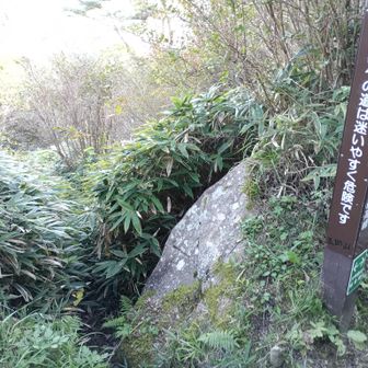 こんなヤバいところにツッコんでよく自力で生きて帰って来れたものにゃ。
（≡ー・ー≡；
