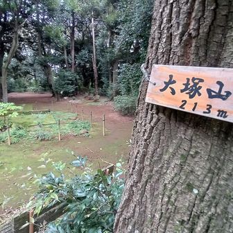 八王子名山の大塚山
