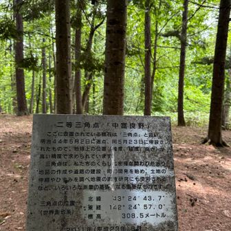 直ぐです