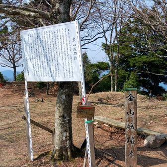 金山頂上とうちゃこ⛰️
金山城が有ったとさ
