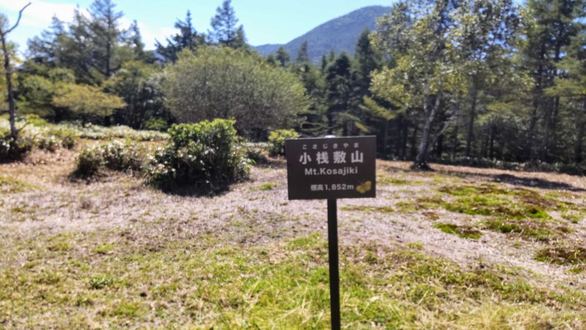 桟敷山-小桟敷山 周回コースの写真