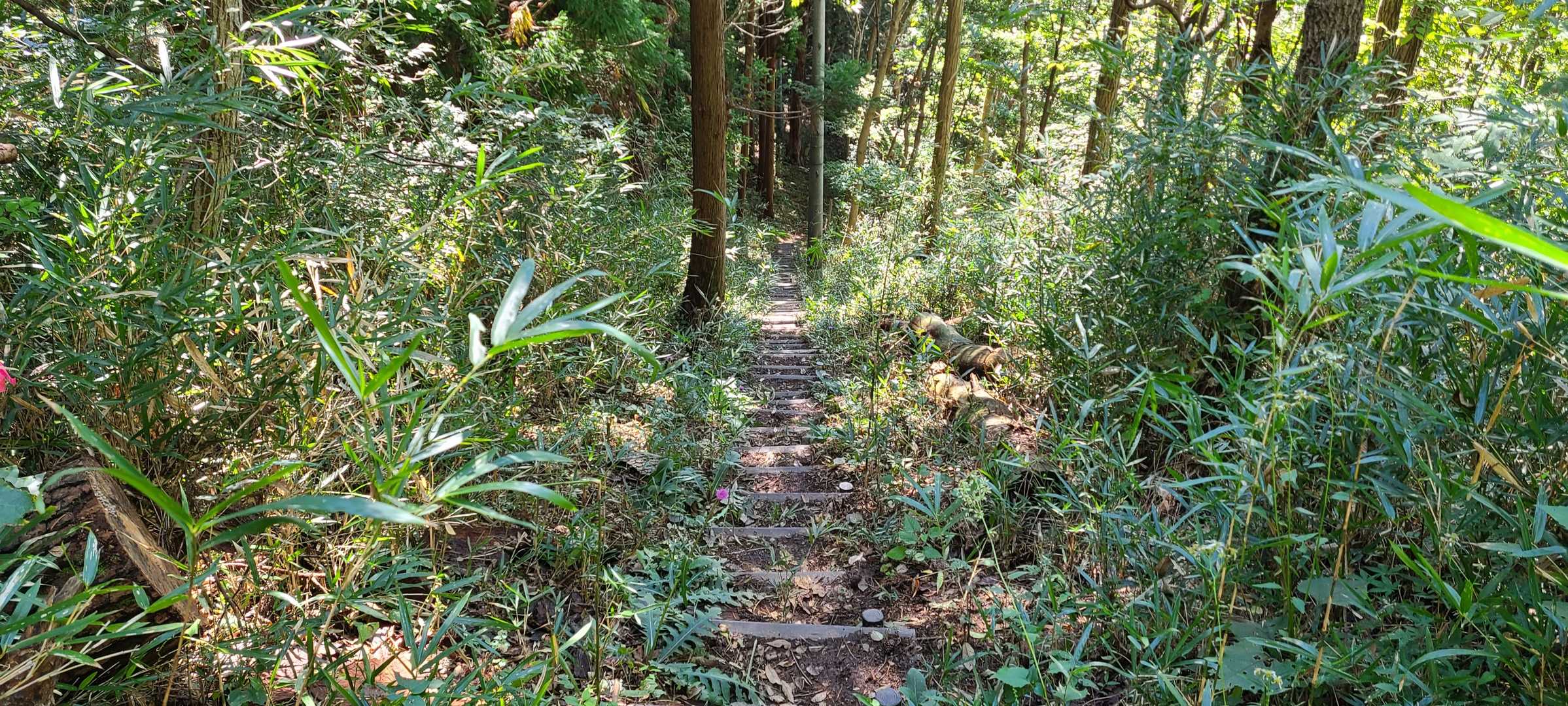長ーい階段💦
