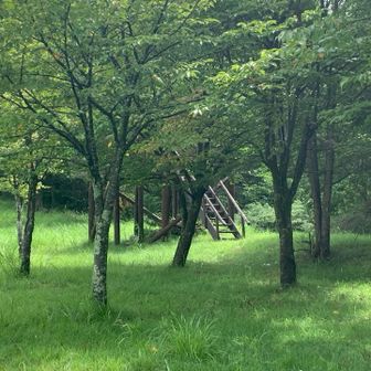 何かあります。