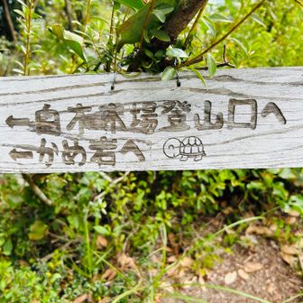 登山道看板