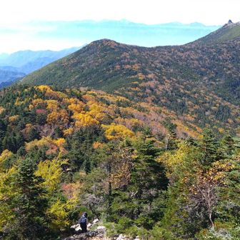 分かりやすい紅葉