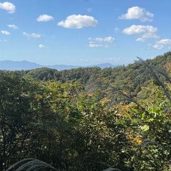 弥彦方面