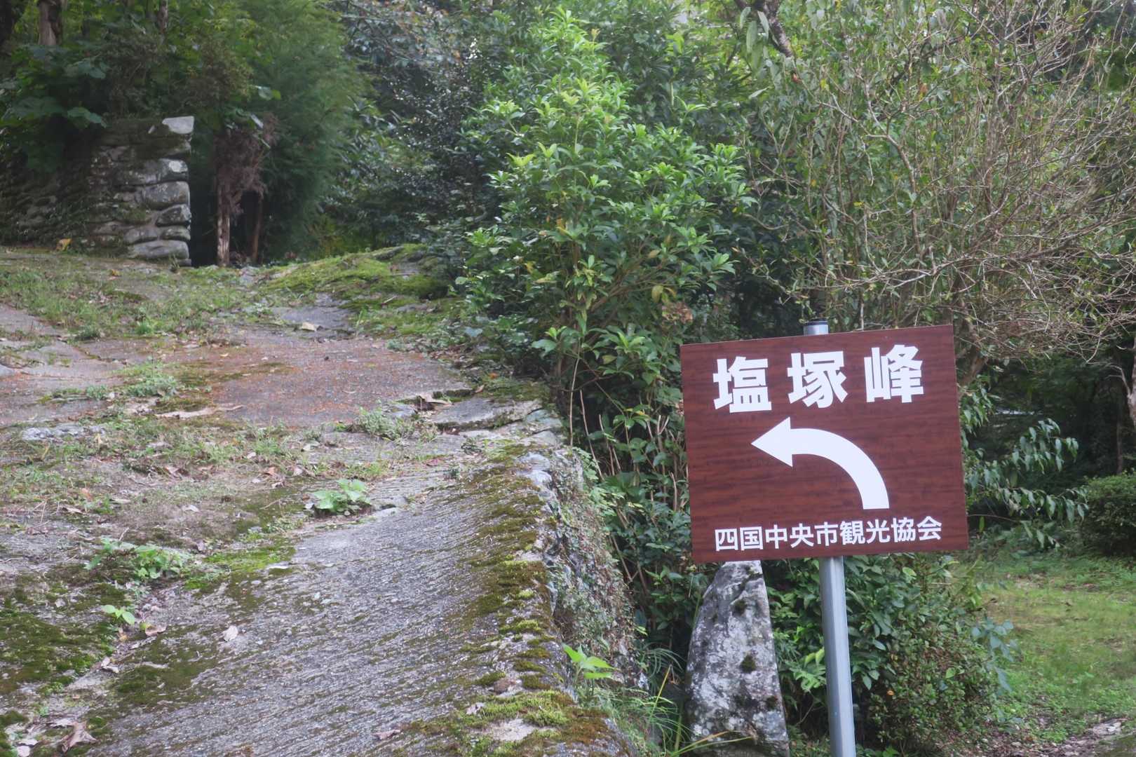 ここから登るみたいです