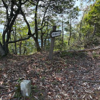 急坂を少し登ると尾根に出ました