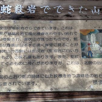 神社への下りにあった「蛇紋岩でできた山」釜伏山は全部蛇紋岩で周囲が結晶片岩で風化侵食されやすく釜伏山ができた